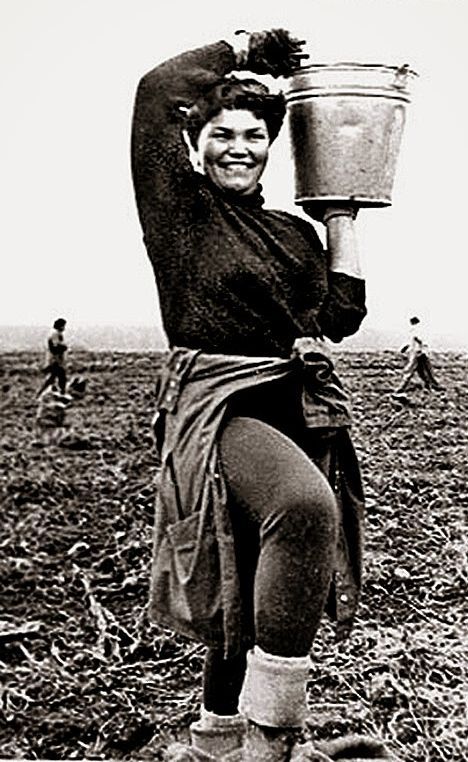 Все на картошку! (39 фото)