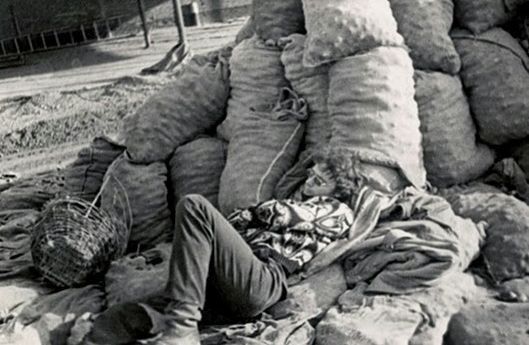 Все на картошку! (39 фото)