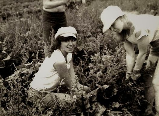 Все на картошку! (39 фото)