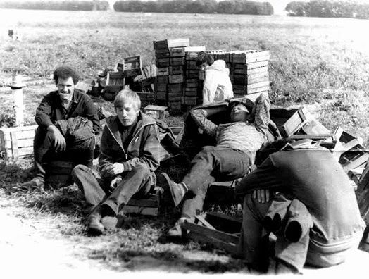 Все на картошку! (39 фото)