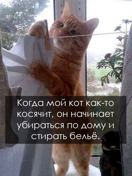 Прикольные картинки (92 фото)