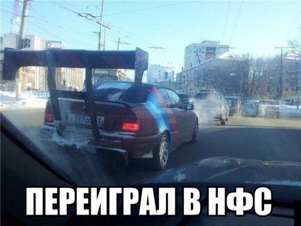 Прикольные картинки (92 фото)