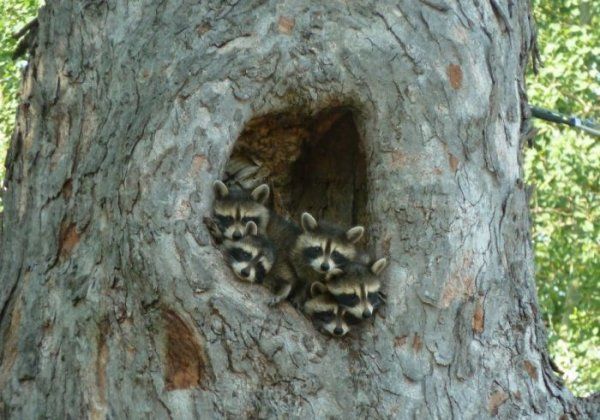 Прикольные картинки (92 фото)