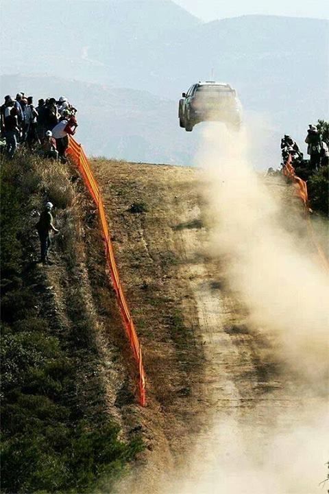 Прикольные картинки (92 фото)