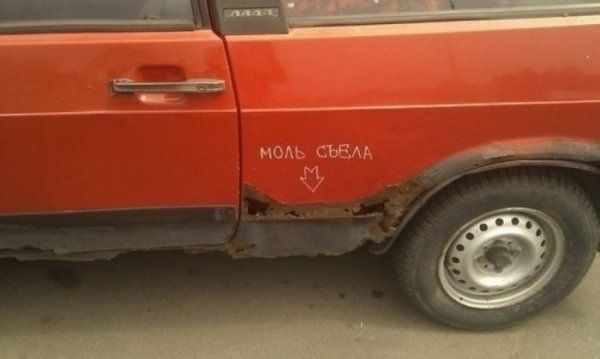 Прикольные картинки (92 фото)