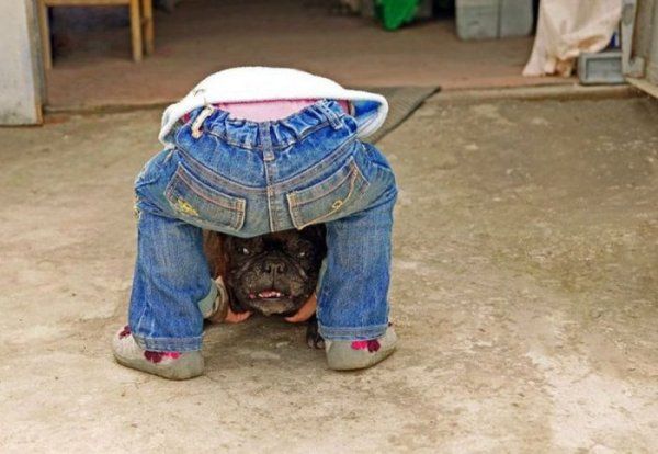 Прикольные картинки (92 фото)