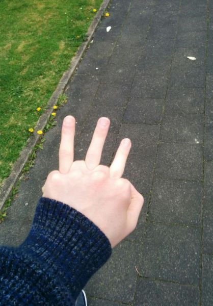 Прикольные картинки (92 фото)