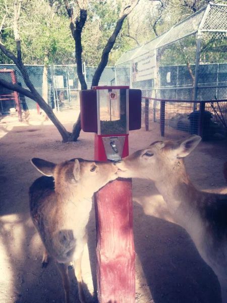 Прикольные картинки (92 фото)