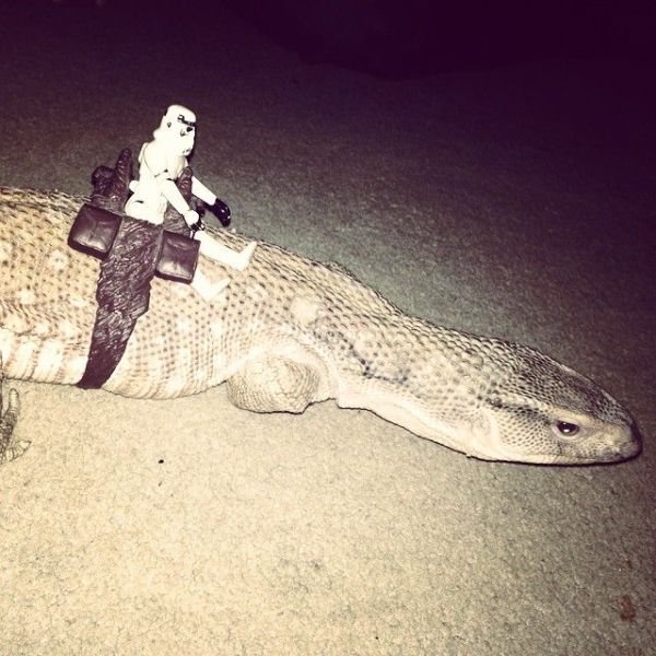 Прикольные картинки (92 фото)