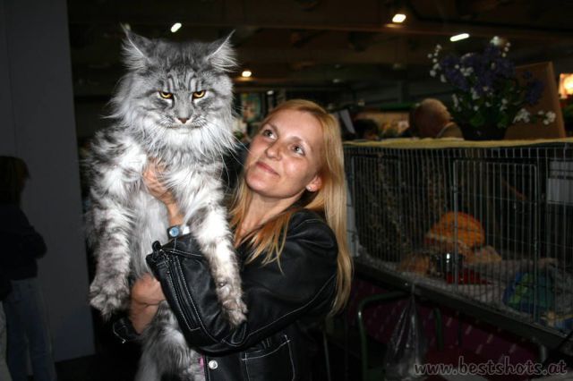 Прикольные картинки (92 фото)