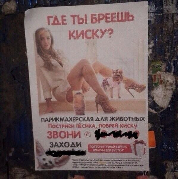 Прикольные картинки (92 фото)