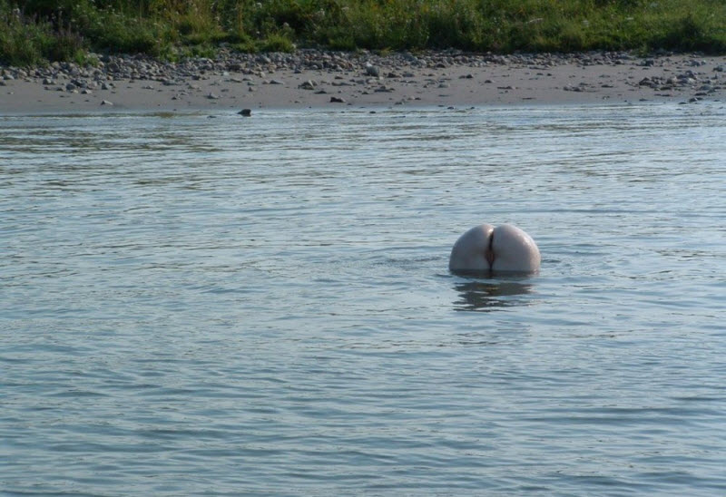 Засветы девушек