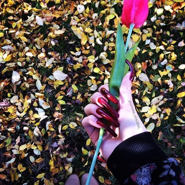 16-летняя студентка Симона Тейлор уже четыре года не стрижет ногти 16-летняя студентка Симона Тейлор уже четыре года не стрижет ногти