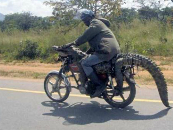 Удивительная Африка Удивительная Африка