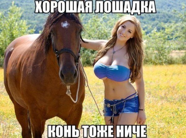 Прикольные картинки (145 фото)