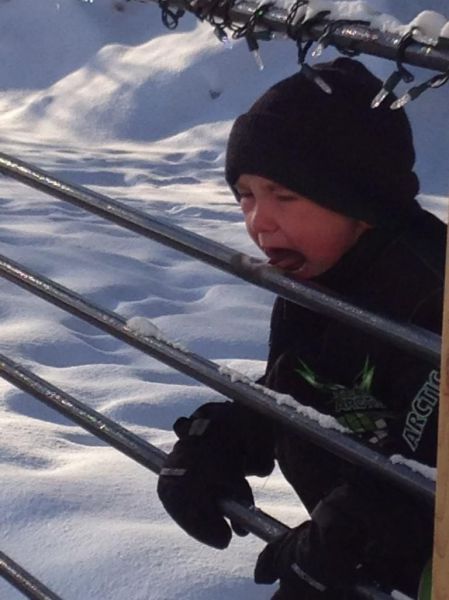 Прикольные картинки (145 фото)