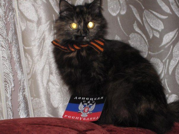 Прикольные картинки (145 фото)