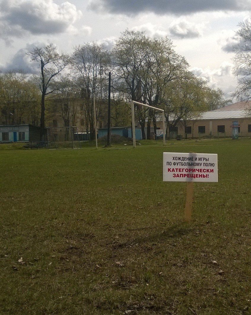 Прикольные картинки (145 фото)