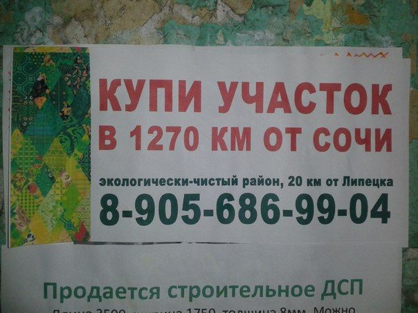 Прикольные картинки (145 фото)