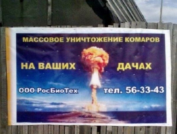 Прикольные картинки (145 фото)