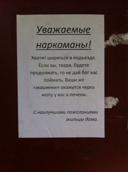 Прикольные картинки (145 фото)