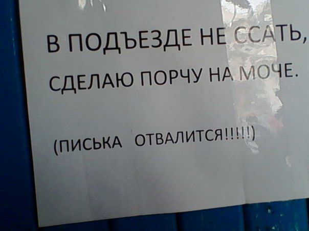 Прикольные картинки (145 фото)