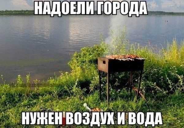 Прикольные картинки (145 фото)