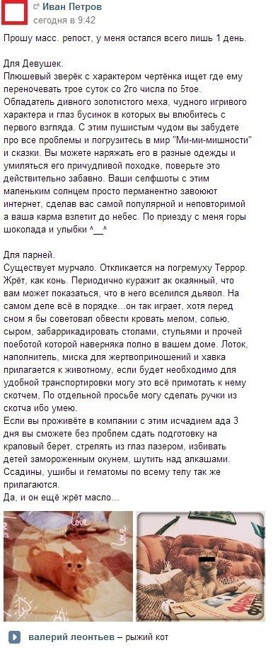 Прикольные картинки (145 фото)