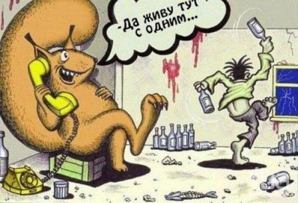 Прикольные картинки (145 фото)