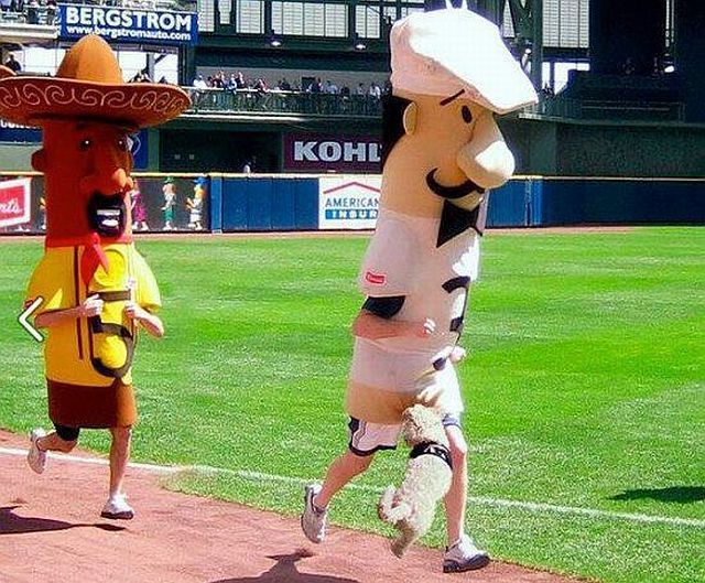 Прикольные картинки (145 фото)