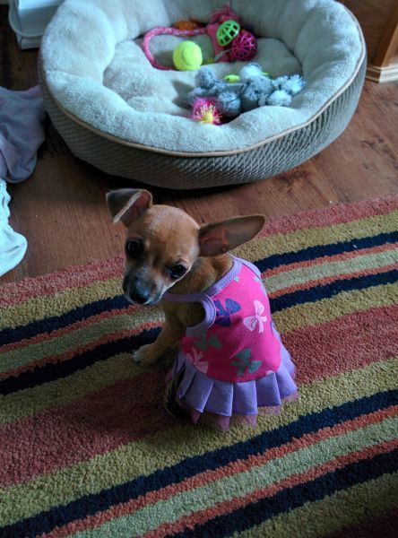 Прикольные картинки (145 фото)