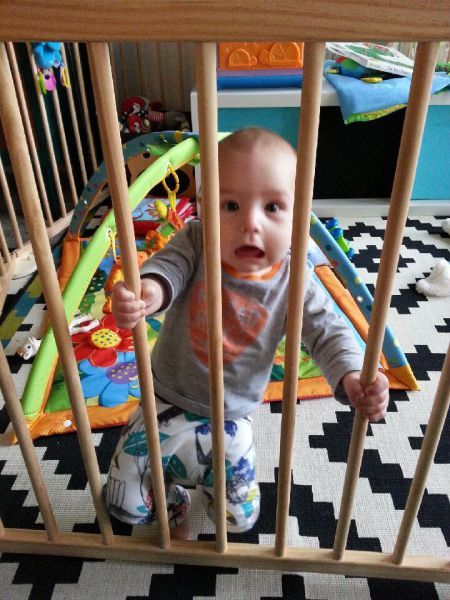 Прикольные картинки (145 фото)