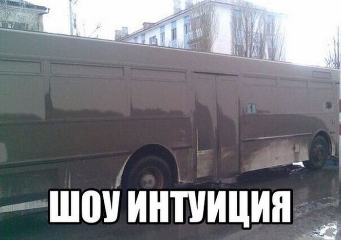 Только в России  (25 фото)