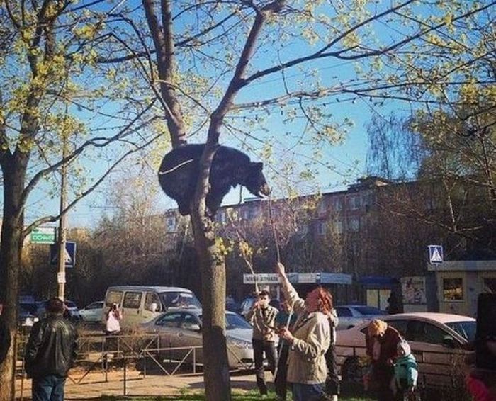 Только в России  (25 фото)