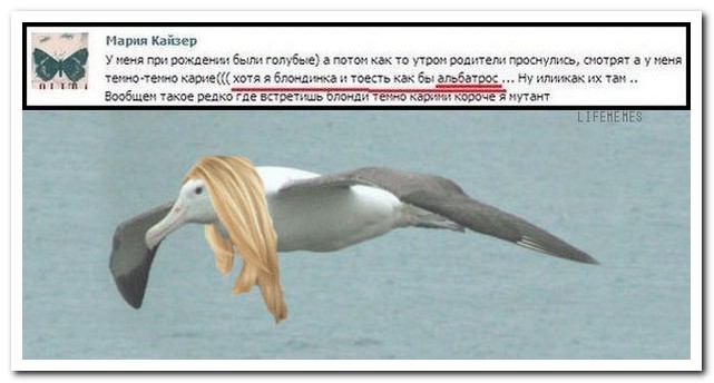 Смешные комментарии из социальных сетей