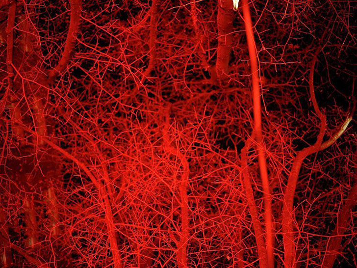 Как выглядит один из старейших кварталов красных фонарей в Берлине