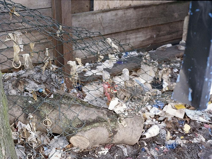 Как выглядит один из старейших кварталов красных фонарей в Берлине