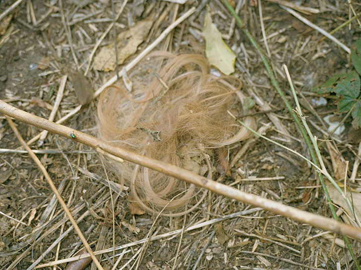 Как выглядит один из старейших кварталов красных фонарей в Берлине