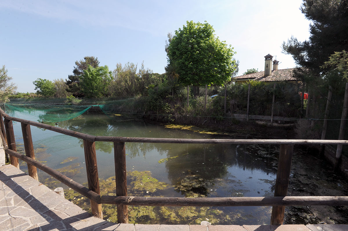 Градо — итальянский остров солнца Градо — итальянский остров солнца