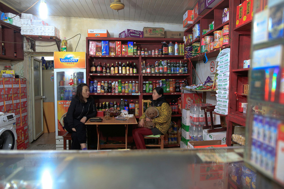 Жизнь в каменных джунглях