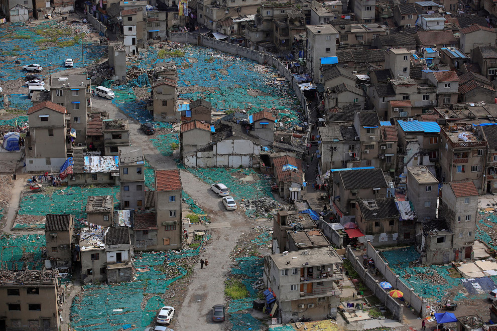 Жизнь в каменных джунглях