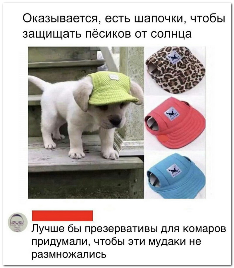 Забавные комментарии из социальных сетей