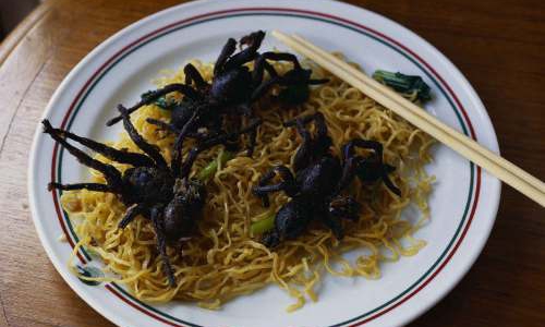 Несколько любопытных фактов о пауках – домашних любимцах