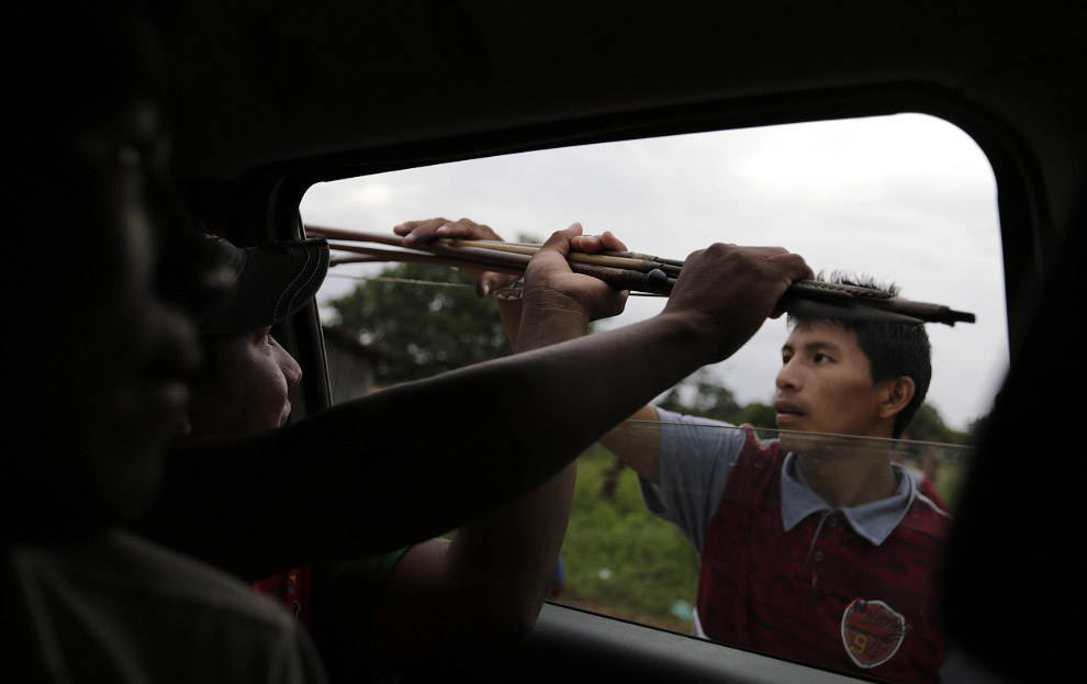 Как воины джунглей Амазонки борются с черными лесорубами