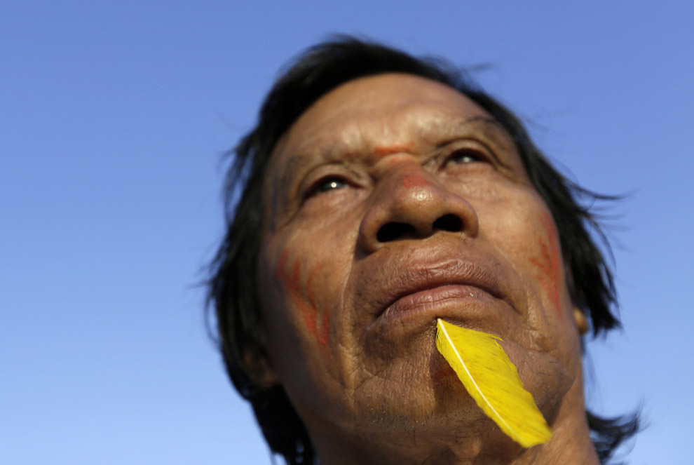 Как воины джунглей Амазонки борются с черными лесорубами