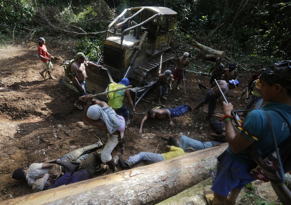 Как воины джунглей Амазонки борются с черными лесорубами
