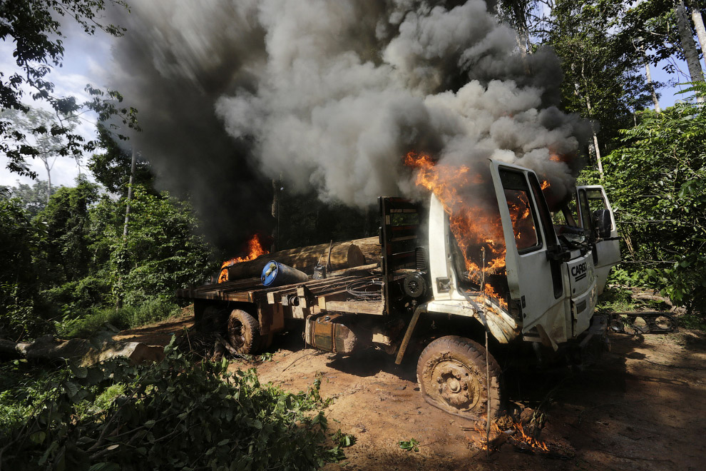 Как воины джунглей Амазонки борются с черными лесорубами