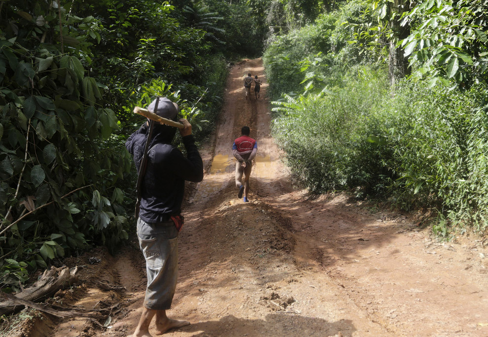 Как воины джунглей Амазонки борются с черными лесорубами