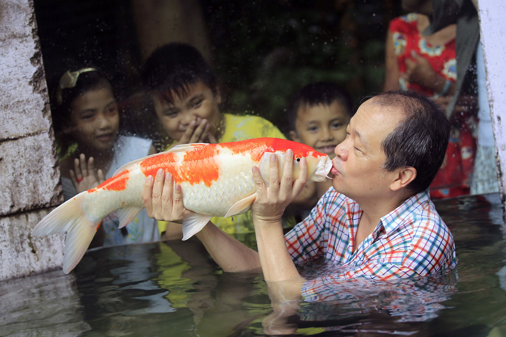 Животные в фотографиях