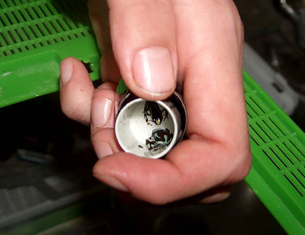 Самые остроумные и изощрённые методы контрабанды